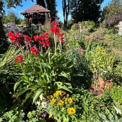 Marlow Horticultural Society Talk