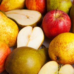 Marlow Horticultural Society Talk 